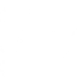 岁